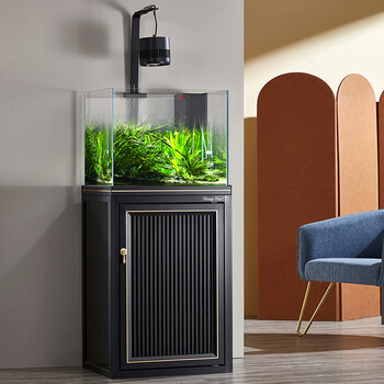 落地超白玻璃家庭兰寿生态造景小型鱼缸定制鱼缸方缸草缸免换水缸爵士