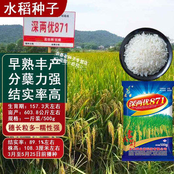 农喜发谷种水稻种子大全高产杂交水稻长粒香米一级优质早中晚糯谷稻籽