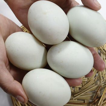 乌蒙蕴色 鲜鸭蛋绿壳新鲜土鸭蛋农家散养红心青皮生的大个鸭蛋批发一