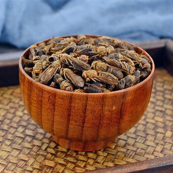 马蜂中药材天然新鲜干货蚂蜂胡峰地蜂黄蜂泡酒搭马蜂手选新货抓配中