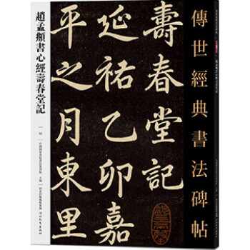 經典書法碑帖52中國國家畫院書法篆刻院主編行書心經基礎實戰臨摹練