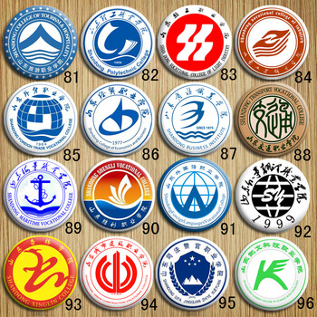 山东旅游理工业经贸商务交通凯文杏林科技轻工职业学院校徽章胸针 92