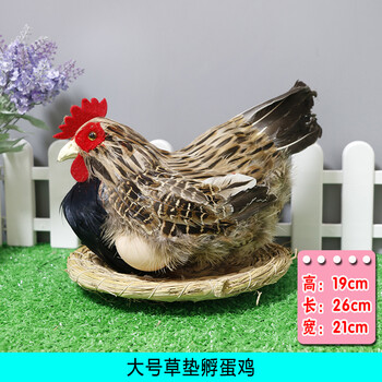 竹鸡假煤模仿真鸡模型公鸡标本母鸡摆件超市装饰道具土鸡下蛋鸡玩具