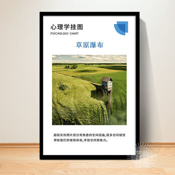 心理咨询室装饰画心理学挂画错觉双关挂图心理咨询室布置视觉装饰画