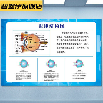 眼睛眼球結構圖醫院眼鏡店眼睛眼球結構圖切面圖人體眼部概觀息圖牆貼