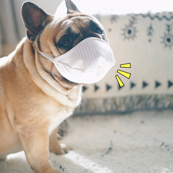 狗狗外出宠物口罩面罩犬用外出三层无纺布可水洗中小型犬隔离嘴罩防咬犬专用口罩 三个装 长鼻犬s 博美泰迪及幼犬 图片价格品牌报价 京东
