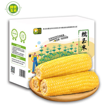 极友内蒙甜糯玉米真空包装黄糯玉米棒即食粘黏玉米代餐鲜食粗粮礼盒装