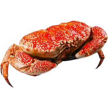 瀚元汇鲜澳洲皇帝蟹海鲜水产512斤冷冻大螃蟹帝王蟹巨大拟滨蟹600062