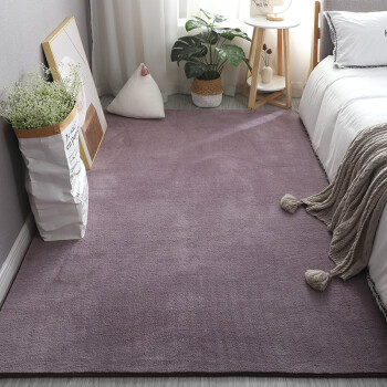 卧室地毯加厚毛绒床边毯满铺大面积客厅房间垫子白色拍照灰紫色32米