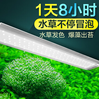 疯狂石头鱼缸led灯防水全光谱三基色增艳水草灯照明灯堪比尼特利水草灯全光谱led水草灯v600 带无极调光 定时功能 图片价格品牌报价 京东