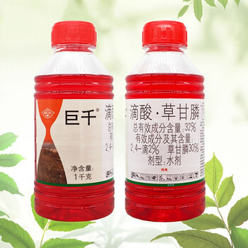 国光巨千滴酸草甘膦荒地扫墓除草烂根剂除抗性恶性杂草灭生农药除草剂
