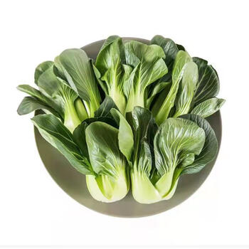 姒桀正宗上海青矮脚菜青油菜现采现发无冻伤黑小油菜新鲜蔬菜 1斤