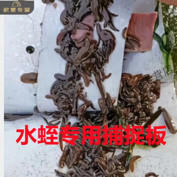 抓蚂蝗工具蚂蝗引诱剂吸血窝料秘方捕捉蚂蟥神器水蛭诱捕剂器诱剂小黑