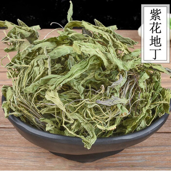 北京同仁堂正宗紫花地丁中药材新鲜干货无熏染地丁草地丁茶堇菜500g