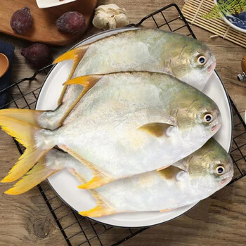 金鲳鱼新鲜海鱼平鱼金昌鱼海鲜水产鲜活速冻冷冻海捕鲳鱼 5斤