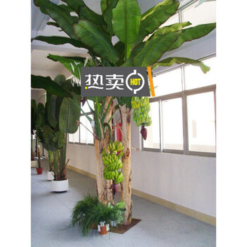仿真芭蕉树盆景香蕉树客厅植物盆栽落地花假树室内摆件大型绿植1 8米 五杆 图片价格品牌报价 京东