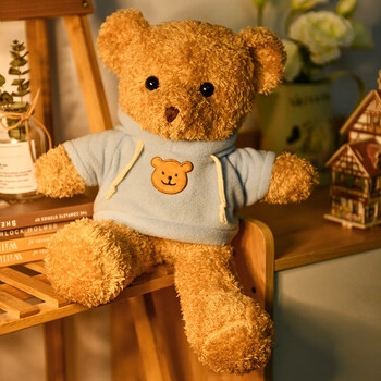小熊公仔生日礼物毛绒玩具女生玩偶教师节女老师女友娃娃蓝色卫衣泰迪