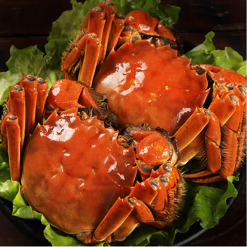 活蟹大闸蟹鲜活8只礼盒装水产河蟹3两母4两公可全母蟹【图片 价格