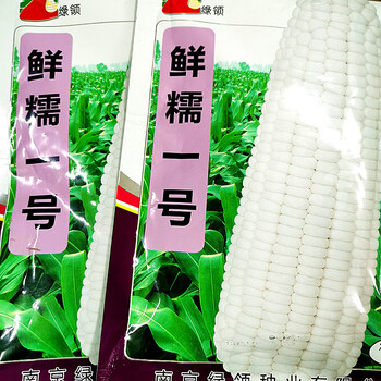 x绿领鲜糯一号【200克】x1包