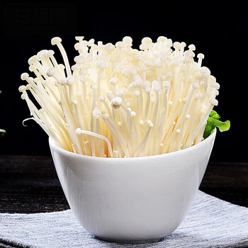 新鲜金针菇2斤装1000g食用菌菇 金针菇 火锅涮蔬菜煲汤蔬菜食材