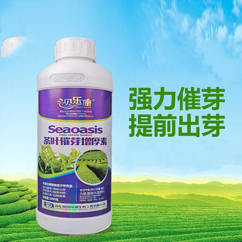 茶叶茶树专用叶面肥 催芽剂催芽素多芽嫩芽暴芽增产30-1000克 500毫升