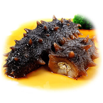 禾澹大连海参即食单个装海参刺参海渗野生海参海叁非鲜活干货500g912