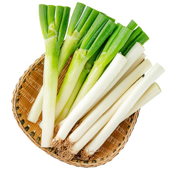 每日优鲜大葱