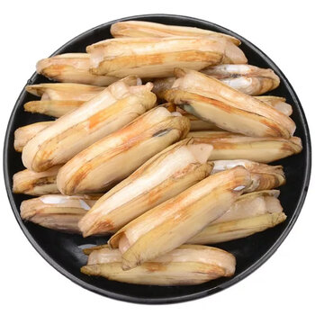 恺蒂鲜新鲜无沙特大鲜活双头蛏子活鲜贝类海鲜海产品生鲜海鲜水产蛏1