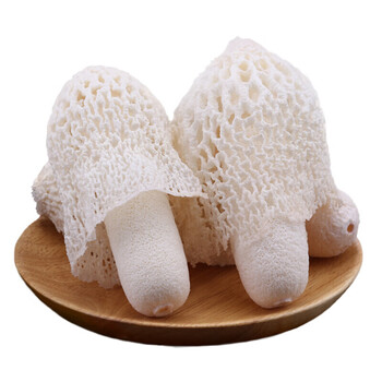 竹荪菌新鲜竹荪花贵州鲜竹笙红托竹荪肉厚500g