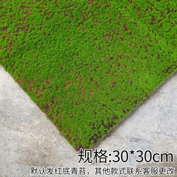 草皮仿真草坪植物景观绿色植物场景橱窗展示盆景假苔藓青苔3030cm的