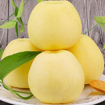 新鲜黄元帅苹果黄金帅黄苹果水果精选带箱10斤中果