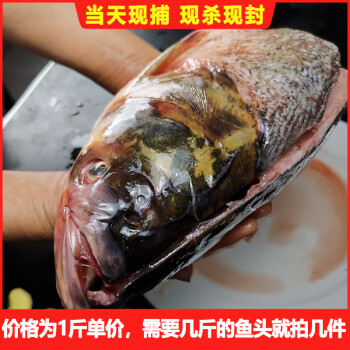 生鮮>海鮮水產>魚類>其他魚類>冬捕胖頭魚500g花鰱凍魚頭淡水速凍新鮮