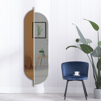 北欧穿衣镜壁挂ins装饰镜家用试衣镜挂墙卧室身镜贴墙异形镜子茶色镜