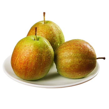 (产地直发)有源臻梨 新梨7号 新鲜水果梨子当季脆甜脆爽多汁小香梨