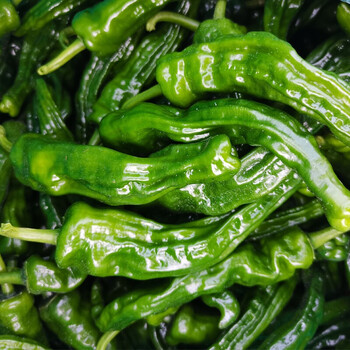 新鲜青薄皮辣椒皱皮螺丝辣椒235斤山东枣庄超特辣农家炒辣子鸡新鲜2斤