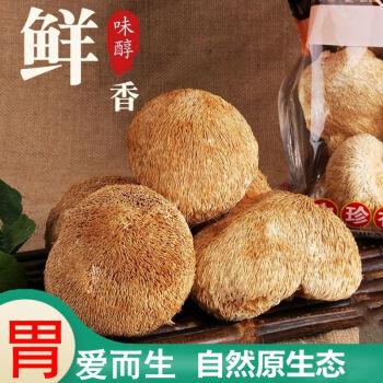 頭菇農家特產食用菌乾貨菇新鮮猴頭菌新菇 猴頭菇【2包500g】個頭大