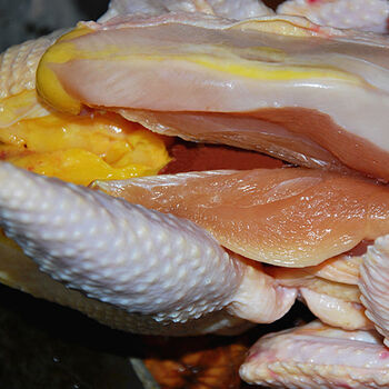 一只净重23一27斤正宗农家散养3年老母鸡土鸡现杀现发两只装老母鸡