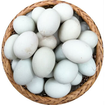 正宗湖里散养新鲜生鸭蛋青壳农家土鸭蛋生态麻鸭蛋姬禄福50枚亏本装60
