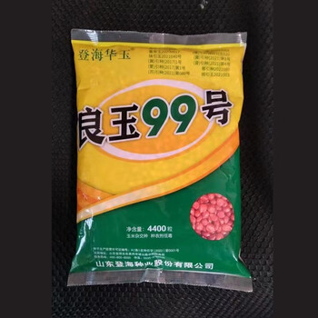 细辛良玉99玉米种登海良玉99号官方原装抗倒稳产玉米良玉99号新良玉