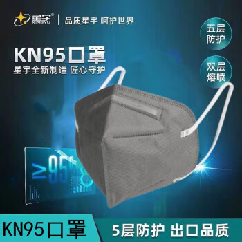 星宇[现货速发]KN95灰色一次性口罩 挂耳式防尘防飞沫面罩防灰尘加厚舒适透气五层防护10只装（2只*5袋）