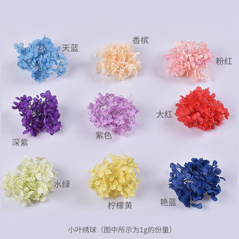 古蝉凰水晶滴胶diy花材永生绣球花立体紫阳花安娜小叶绣球花干花小叶绣球柠黄色1克 图片价格品牌报价 京东