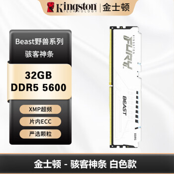 金士顿 (Kingston) FURY 32GB DDR5 5600 台式机内存条 Beast野兽系列 骇客神条 白色款