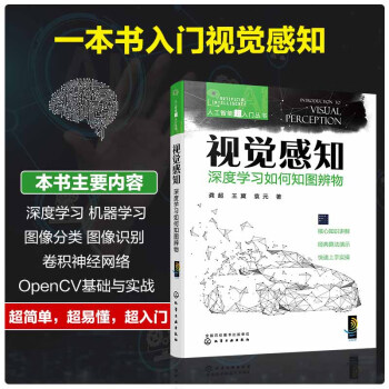 人工智能超入门丛书--视觉感知：深度学习如何知图辨物