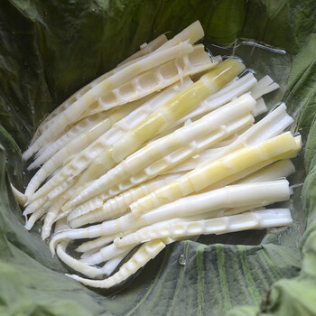 江西特产清水小竹笋尖农家手撕笋野生新鲜脆嫩火锅原味春笋条5斤手撕