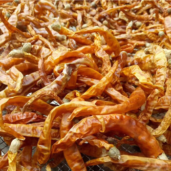 鲜有志衡东特产干黄辣椒湖南辣椒干货农家味香辣底料饭店商用100克
