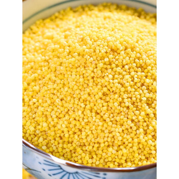 京尊达黄小米新米5斤山西农家自产食用好吃米脂月子五谷杂粮食糯小米
