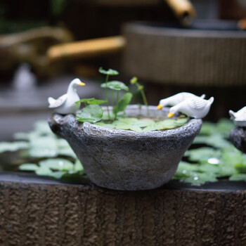 匠心坊小鸭小鸟小青蛙花盆造景植物盆栽搭配件家居桌面摆件配饰品0019小鸭花盆 中 图片价格品牌报价 京东