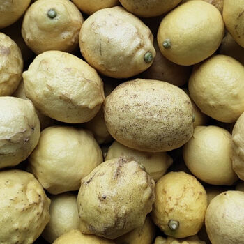 精选s级安岳黄柠檬丑果瑕疵果榨汁果柠檬鲜果奶茶店专用多规格鲜柠檬