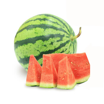 橘脆【消夏佳品】8424冰糖麒麟西瓜 鲜嫩多汁 jd快递 4-5斤/个