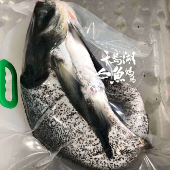 千島湖魚頭生態活魚現殺魚鱅魚胖頭魚真空包裝活魚運輸 其他區代殺好